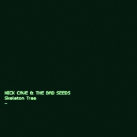 Lovende recensies voor nieuwe album Nick Cave
