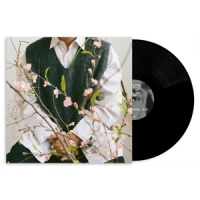 Shigeto Cherry Blossom Baby