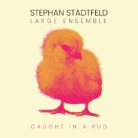 Stephan Stadtfeld Large Ensemble Caught In A Rug