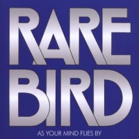 Rare Bird As Your Mind Flies By