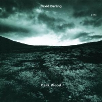 Darling, David Dark Wood