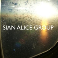 Sian Alice Group Trouble, Shaken Etc