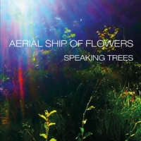 Aerial Ship Of Flowers Speaking Trees