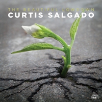 Salgado, Curtis Beautiful Lowdown