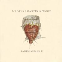 Medeski, Martin Radiolarians Ii