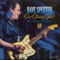 Specter, Dave Six String Soul. 30 Years On Delmar