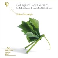 Collegium Vocale Gent 50th Anniversary