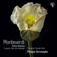 Collegium Vocale Gent Monteverdi: Il Quarto Libro De Madrigali