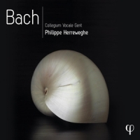 Collegium Vocale Gent Bach