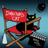 Director S Cat Bad Luck