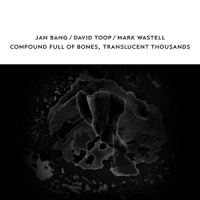 Toop, David & Jan Bang & Mark Waste Compound Full Of Bones, Translucent