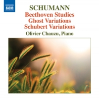 Stutzmann, Nathalie Beethoven Studies