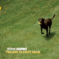 Marino, Steve Too Late To Start Again (mustard Yellow) -coloured-