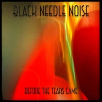 Black Needle Noise Before The Tears Came