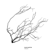 Black Motor Branches