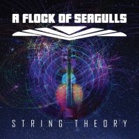 A Flock Of Seagulls Strings Theory