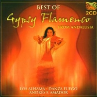 Various Best Of Gypsy Flamenco