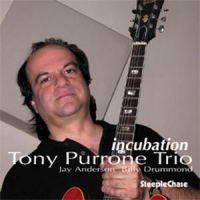 Purrone, Tony - Trio - Incubation