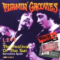 Flamin  Groovies Live At The Festival Barcelona