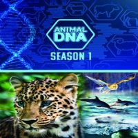 Documentary Animal Dna: Season One