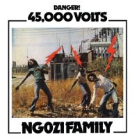 Ngozi Family 45, 000 Volts