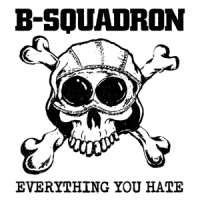 B Squadron Everything You Hate