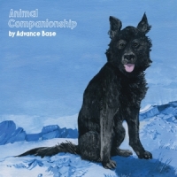 Advance Base Animal Companionship (clear)