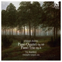 Trio Wanderer Piano Trio No.1 Quartet No.3