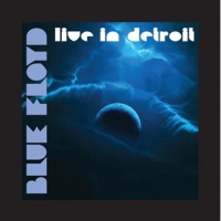 Blue Floyd Live In Detroit