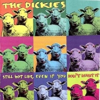 Dickies, The Still Live, Even If You D