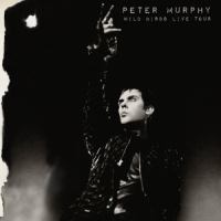 Peter Murphy Wild Birds Live Tour