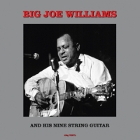 Williams, Big Joe And His Nine String Guitar