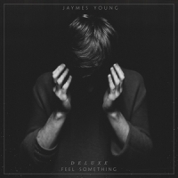 Young, James Feel Something