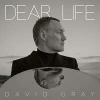 Gray, David Dear Life