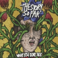 Story So Far What You Don't See