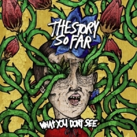 Story So Far What You Don't See