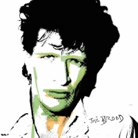 Herman Brood & His Wild Romance The Brood -coloured-