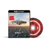 Mr. Big The Big Finish Live