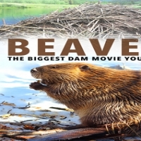 Movie (import) Beavers