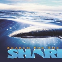 Movie (import) Search For The Great Sharks