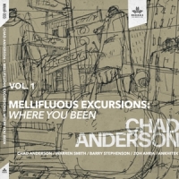 Anderson, Chad Mellifluous Excursions Vol.1: Where You Been