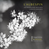 Ensemble Tarentule Laubespin