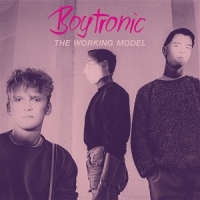 Boytronic The Working Model