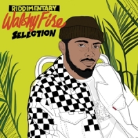 Walshy Fire Presents Riddimentary Selection