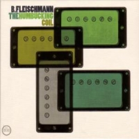 Fleischmann, B. Humbucking Coil