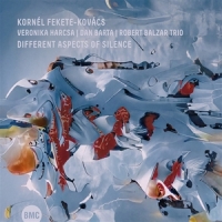 Fekete-kovacs, Kornel Different Aspects Of Silence