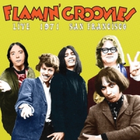 Groovies, Flamin Live 1971 San Francisco