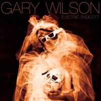 Wilson, Gary Electric Endicott