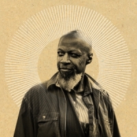 Laraaji Sun Transformations