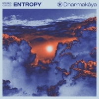 Entropy Dharmakaya